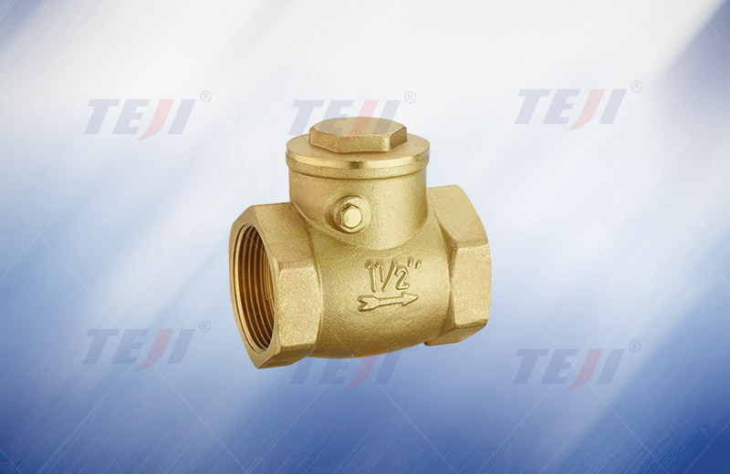 Brass wire mouth swing check valve